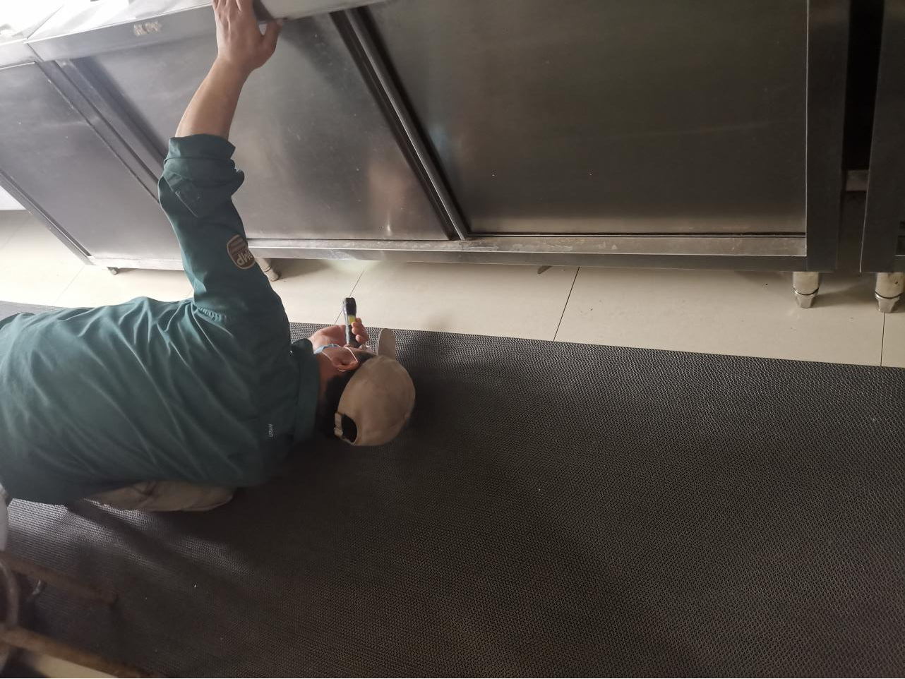 灭除“四害”，，，，，，，，守护健康