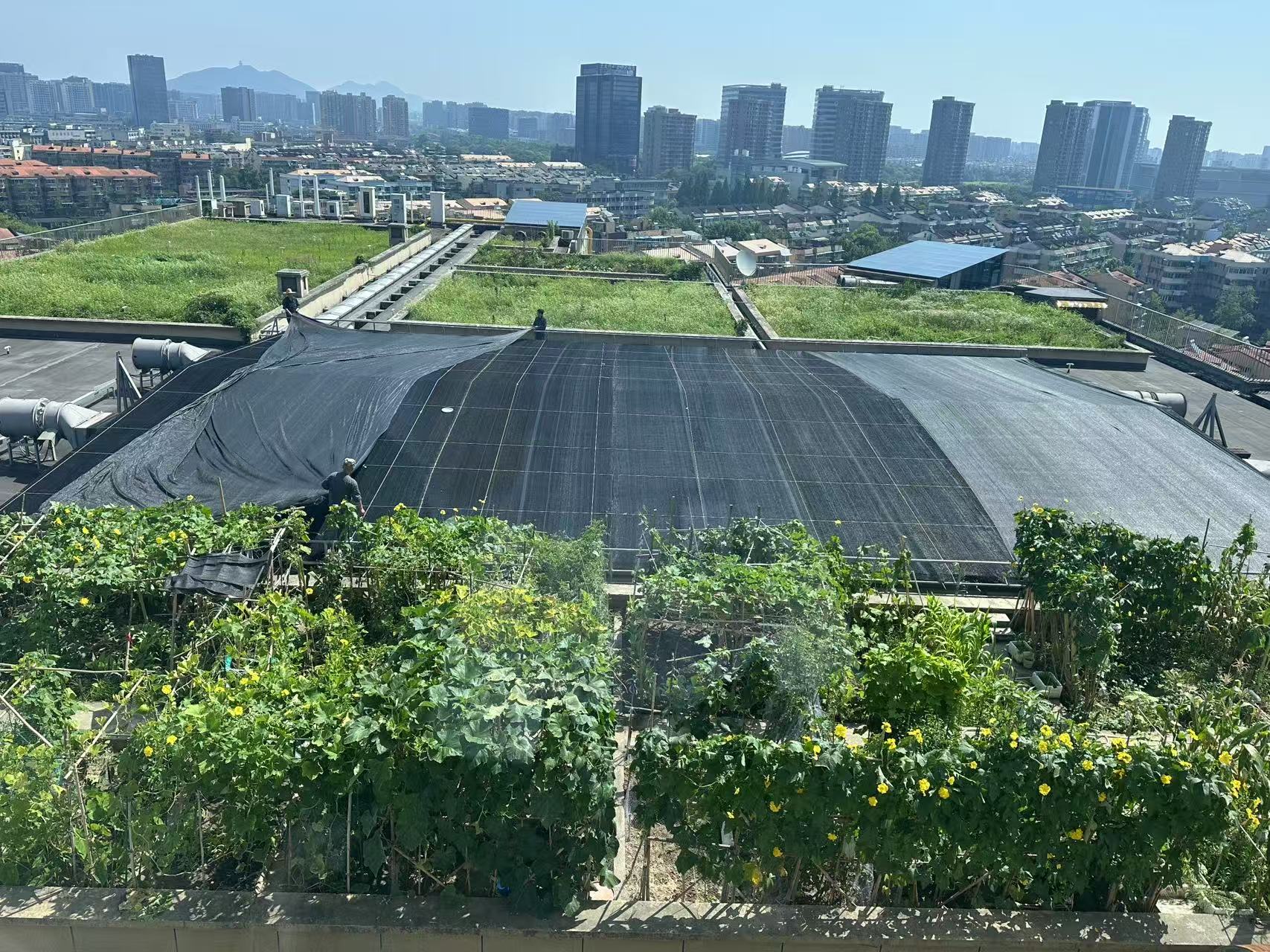 水晶城巧施”遮阳术“，，，，，为节能降耗注入清凉动力