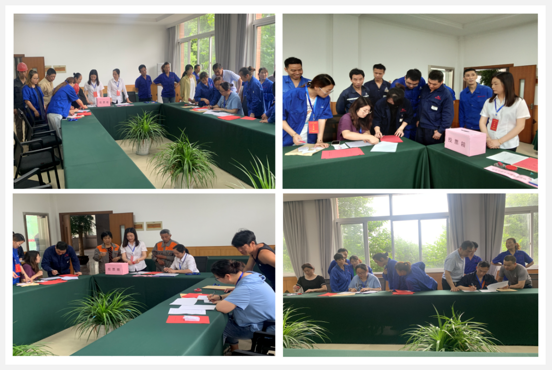 参与选举，，，，，，，，履行公民职责