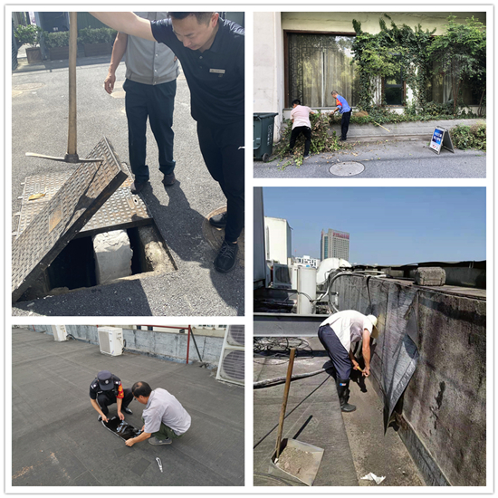 彩名堂文创集团组织开展防台、抗台准备工作