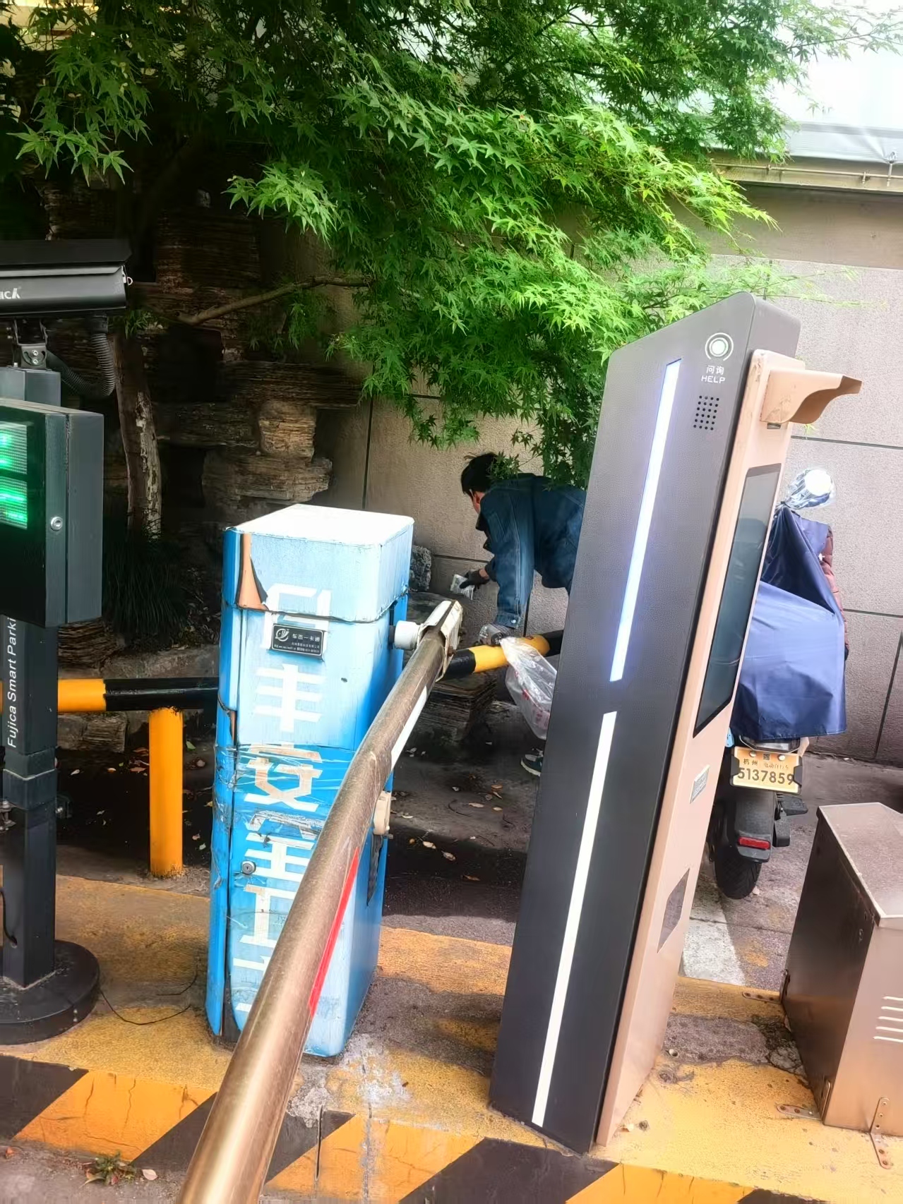 彩名堂市场开启灭鼠行动