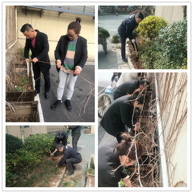 春季绿化正当时——彩名堂文创集团扎实开展环境提升