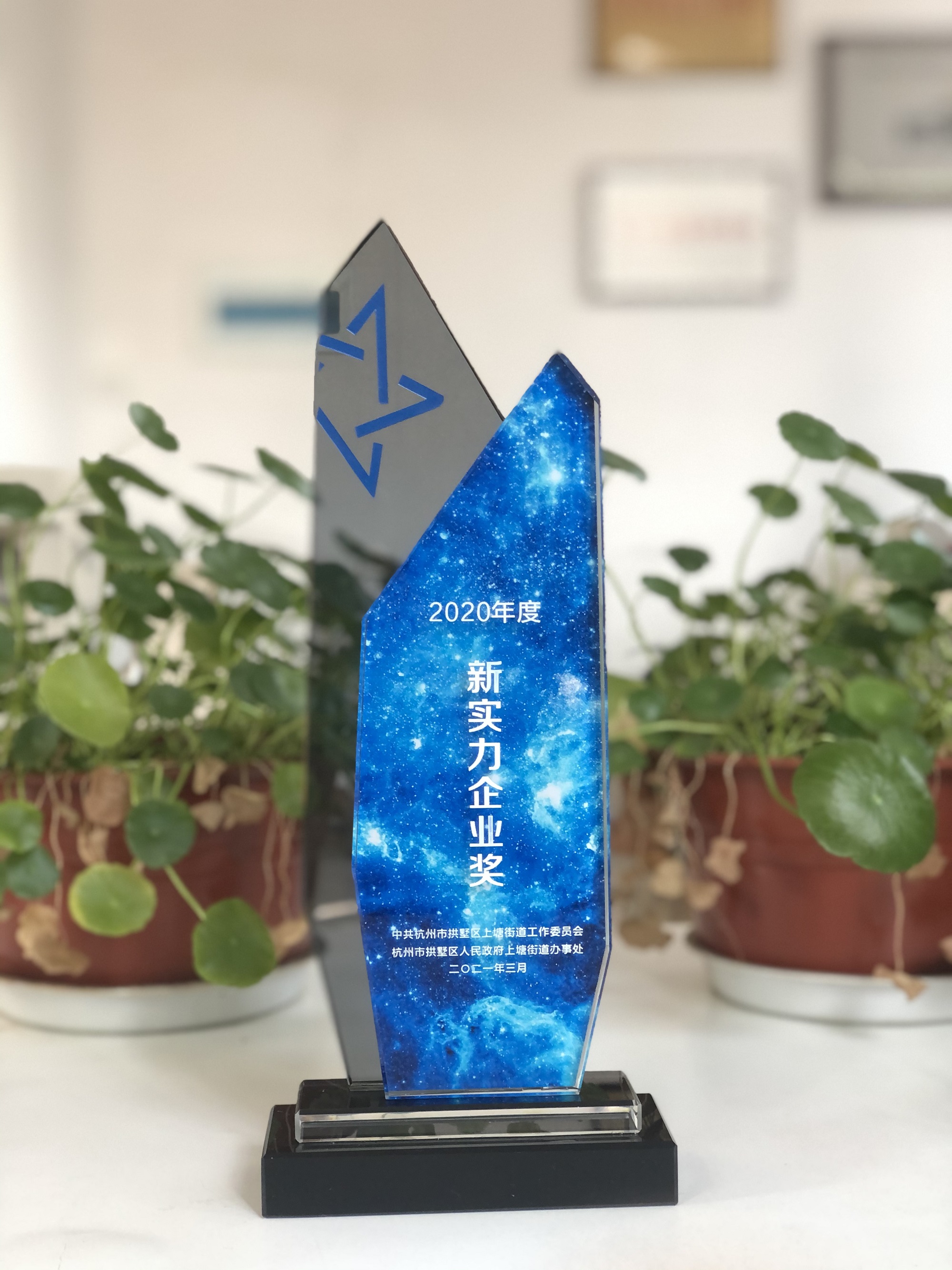 浙江彩名堂网络科技有限公司荣获“新实力企业奖”